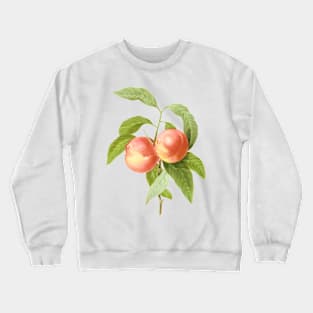 Vintage Botanical Print, Peaches by Redoute Crewneck Sweatshirt